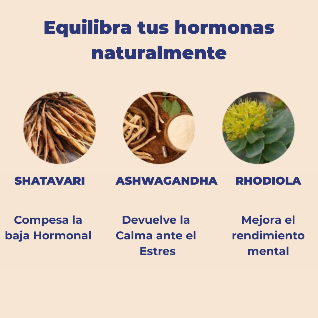 DOMMA-Suplemento equilibrio hormonal menopausia